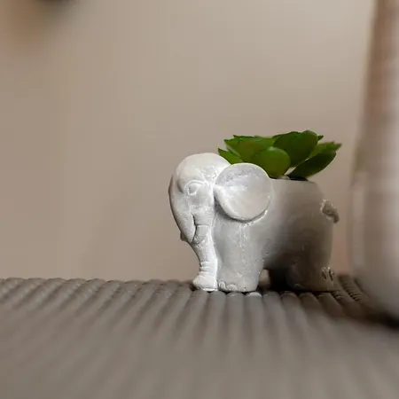 Yellow Door, Nilie Hospitality Mgmt Saloniki